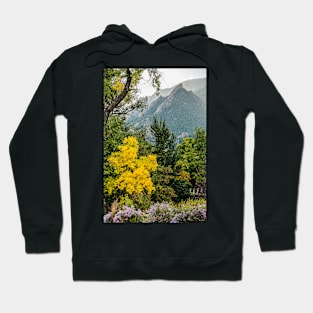 Flatirons Fall Silhoette Hoodie